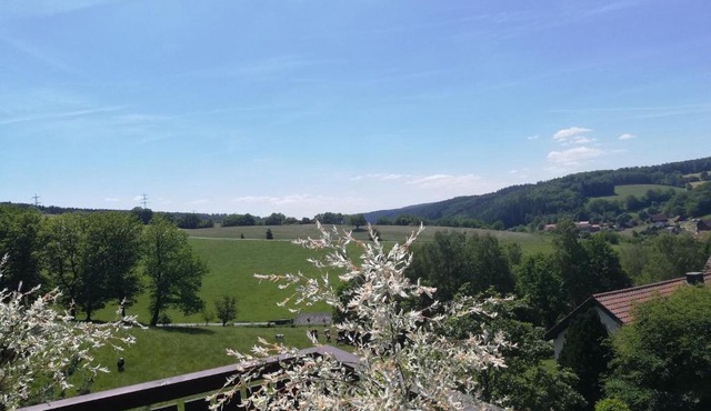 Ferienwohnung Traumblick