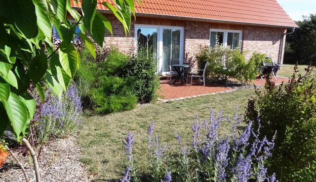 Ferienwohnung Witten auf Fehmarn Haus 10 - Ferienwohnungen Hass Haus 10