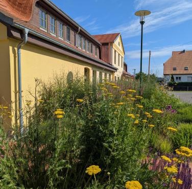 Ferienwohnungen - barrierefrei - im sanierten Gutshof