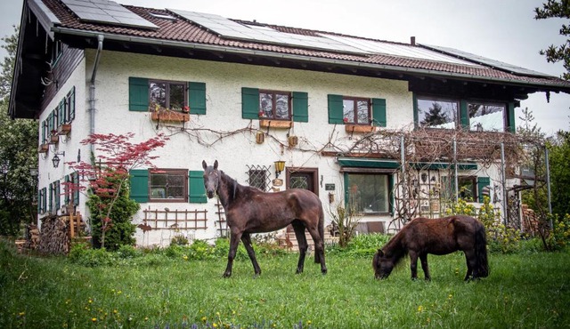 Ferienwohnungen Eisele "Die mit dem Pferd"