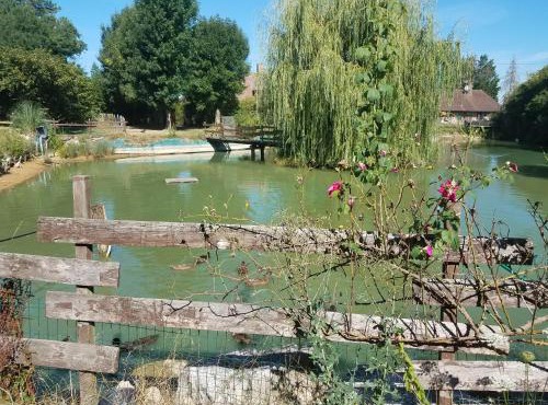 Ferme bressane les Arums