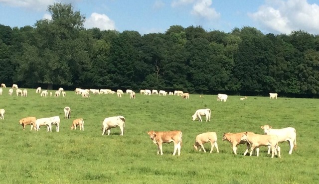 Ferme de Sorval – Your Private French Getaway with Nature & Luxury