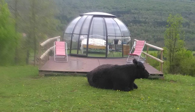 Ferme des Baillards