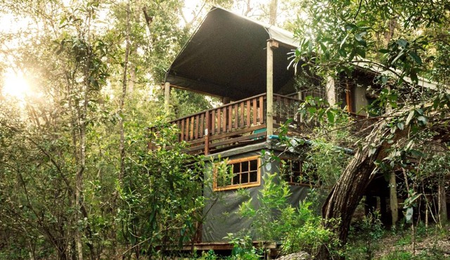 Fernhill Tented Treehouses