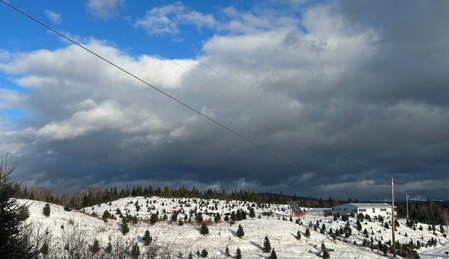 FernRay, a charming lodge located on 154 acre Christmas tree farm with trails