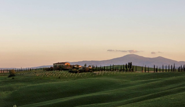FERRANESI - ferranesi BE