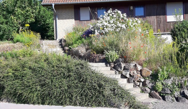 FeWo Dörsdorf Haus Schönleber