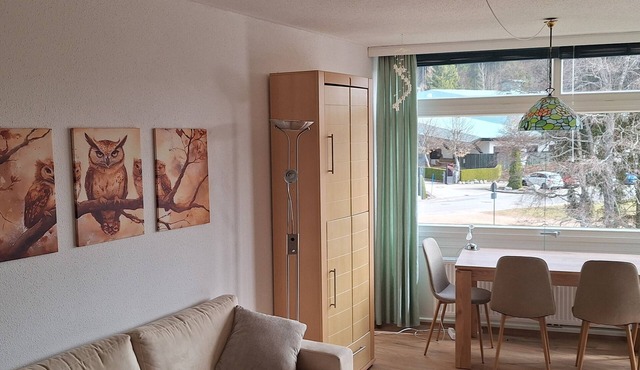 FeWo Eulenhorst - Holiday enjoyment in the vacation resort at Schluchsee (with pool)
