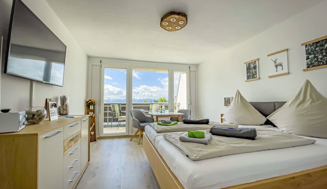 FeWo Längl - modern "Alpenguck" apartment with pool and sauna in the Allgäu