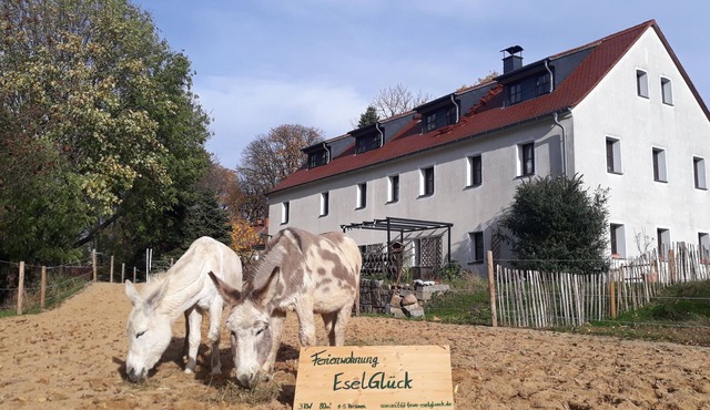 FeWoEselGlück WaldWiesenFelder WeitblickEntschleunigung zw BautzenZittauGörlitz