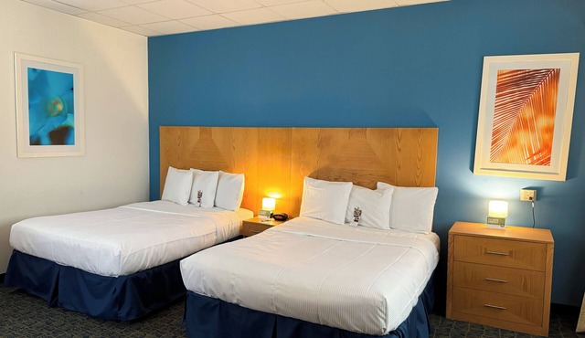 Ficus Hotel
