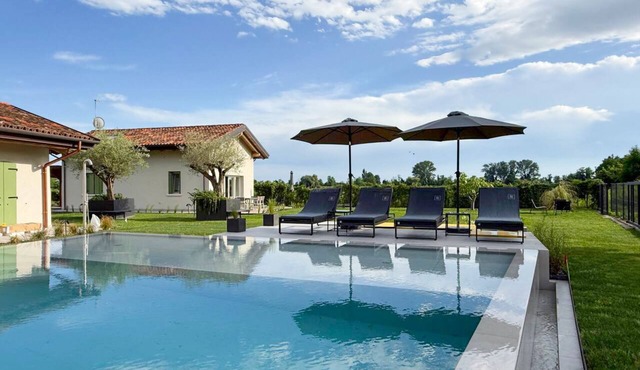 Ficus Suite