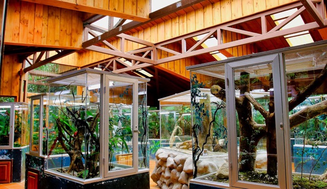 Ficus Sunset Suites