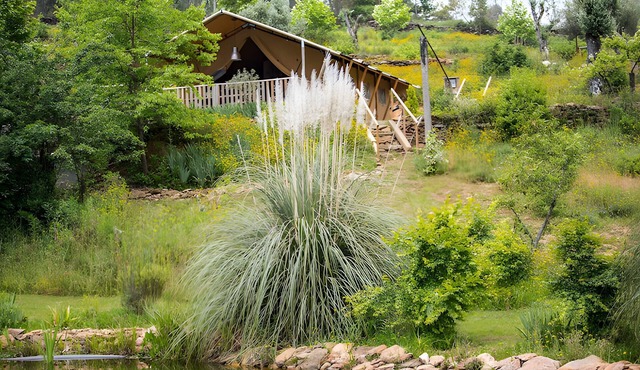 "Figo Glamping" Tent with Mountain View, Private Pool, and Wi-Fi