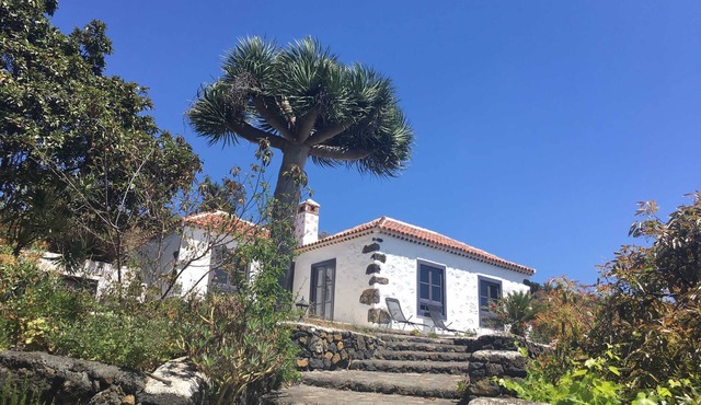 Finca Alegría, Spain
