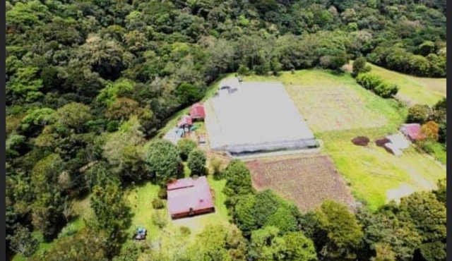 Finca Arabela