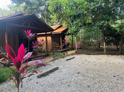 Finca Avellanas