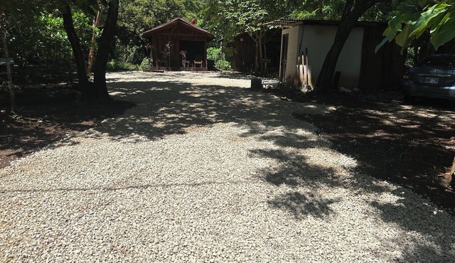 Finca Avellanas