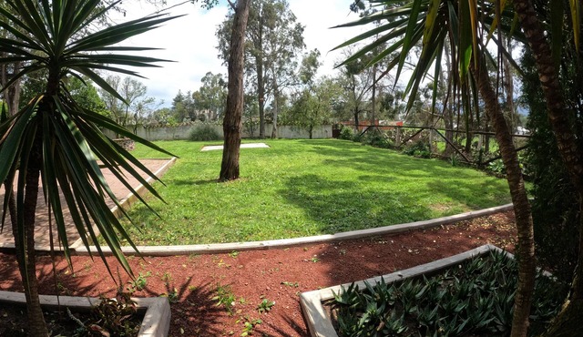 Finca del Pomar