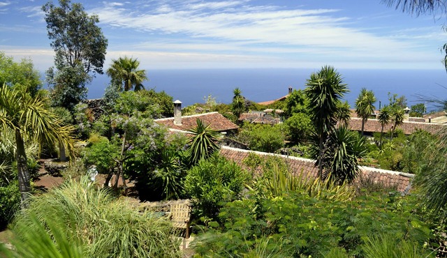 Finca El Lance the green oasis in the north of Tenerife