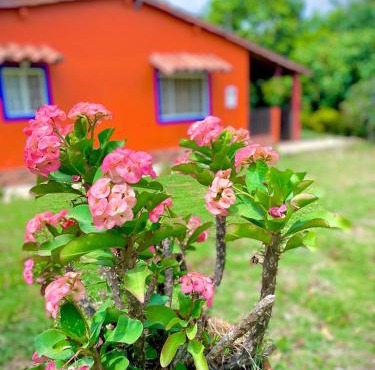 Finca el Paraíso