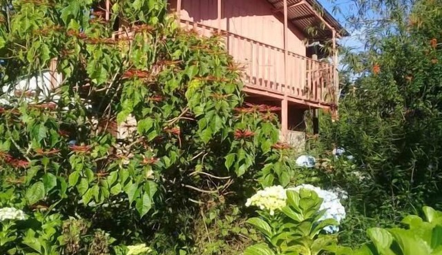 Finca Fuente De Vida