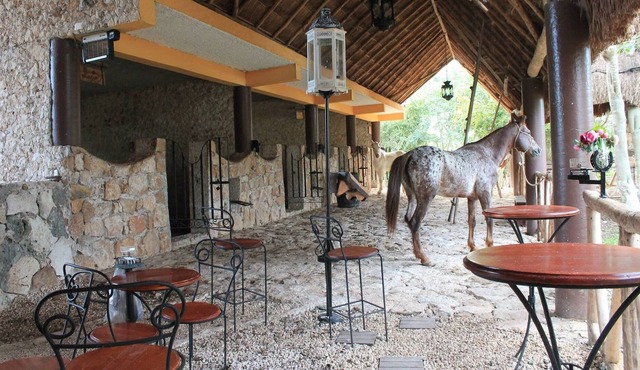 Finca La Caprichozza