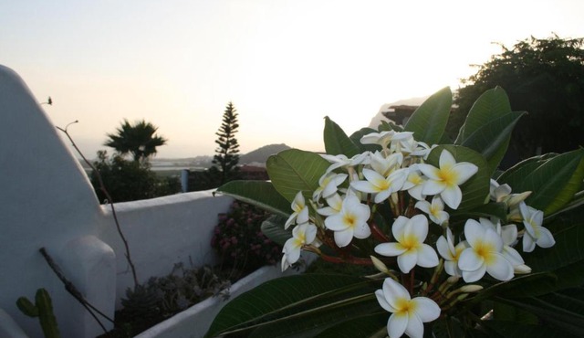 Finca-Las Mariposas 2