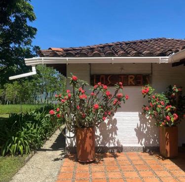 Finca Los 3