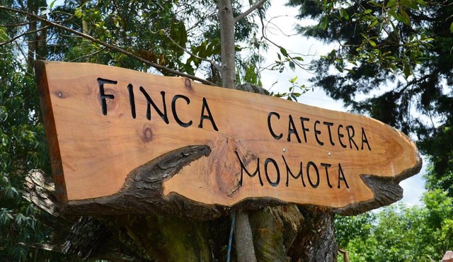 Finca Momota Salento
