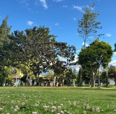 Finca San Alejandro