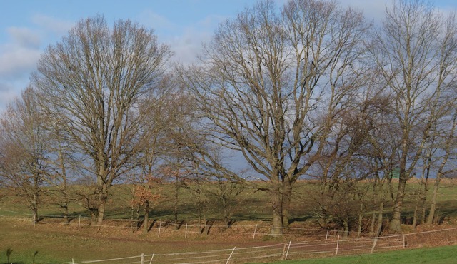 Find peace or active holidays in the heart of the Odenwald
