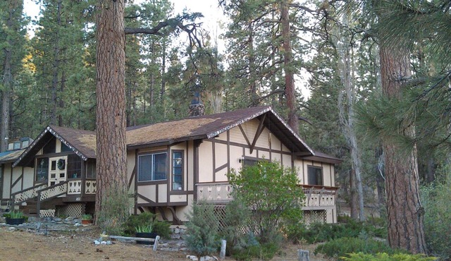FIND TRUE SECLUSION IN OUR PEACEFUL CHALET. 5 ACRES, TRAILS, TREES & SPA