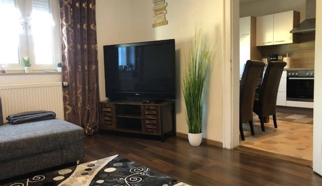 Fine vacation apartment Bayreuth