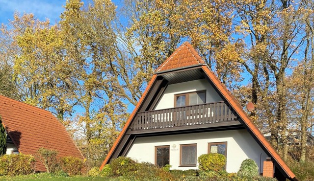 Finnhaus Brigitte - Holiday home for 4 people in the vacation village at the Marlow bird park