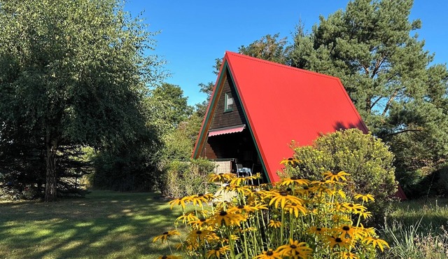 Finnhütten Waldesruh, a cozy house in the Westhavelland - Cabin C