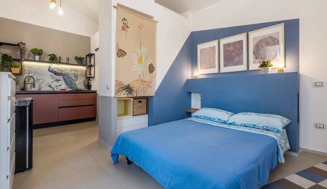 Fiorelli 17 – Blue Peafowl Studio with Private Terrace and Wi-Fi