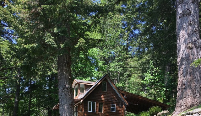 Fir and Cone Cottage: a cozy cottage in a park-like setting with water access