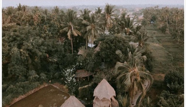 Firefly Eco Lodge