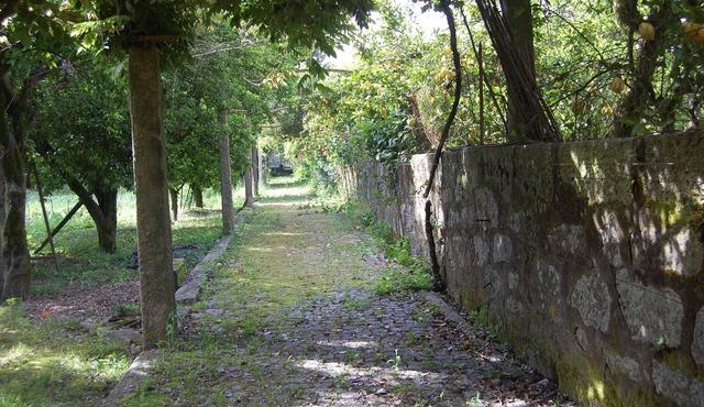 First floor in rural Maia