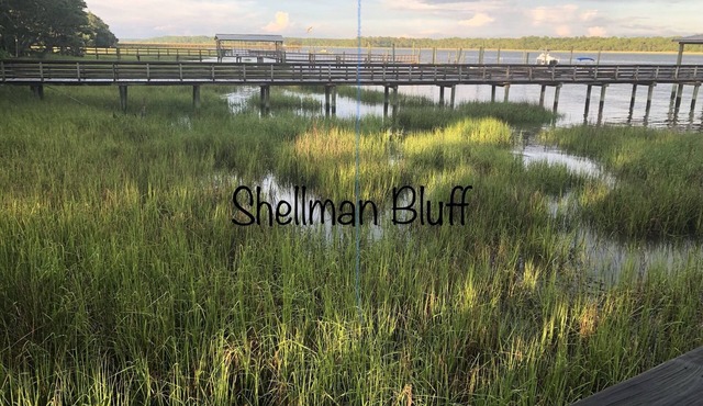 Fishing, or just hanging out in beautiful Shellman Bluff. minutes from Marina.