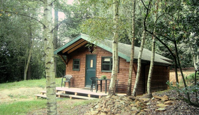 Five Pines - peaceful & secluded woodland cabin in Surrey Hills