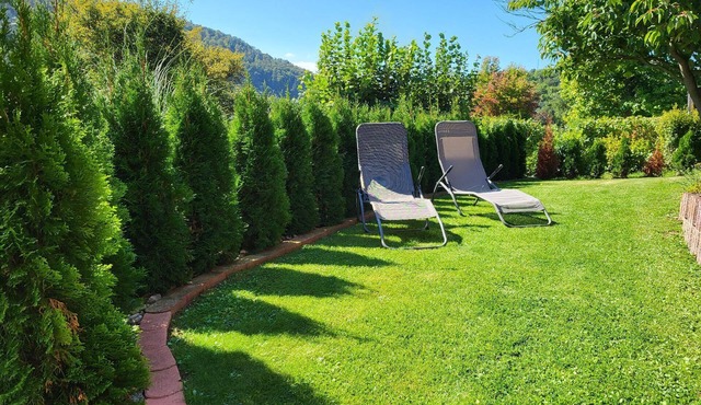 Flat "Apartment with terrace and sunbathing lawn