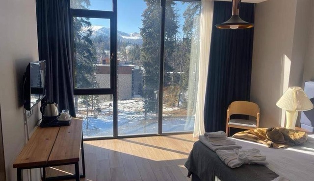 Flat in Bakuriani forest