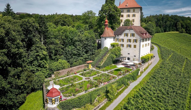 Flat "Schloss Heidegg" with mountain view