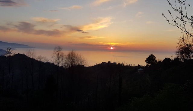 Flat with Magnificent View in Rize
