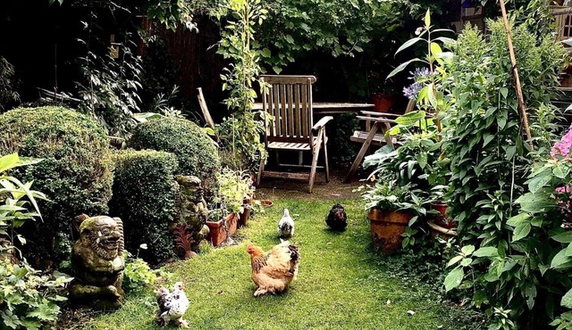 Fleur d'Amsterdam, Safe, Clean, Cosy and Happy! 2 to 4 persons