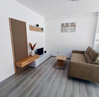 FLH - Apartament Central Silva