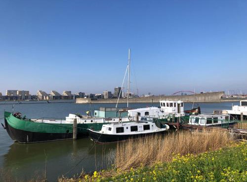 Floating B&B Amsterdam