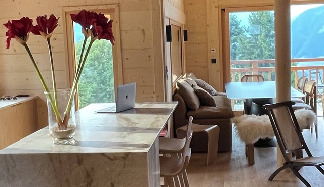 Flooded with light. Chalet Recent & Cosy 8-12 pers.200 m from the slopes, ski in, ski out